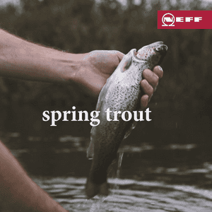 Neff Spring Trout